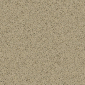 BAMBOO 08 