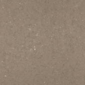 CORAL CLAY 