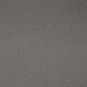 STELLAR GREY