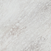 Tempest White 